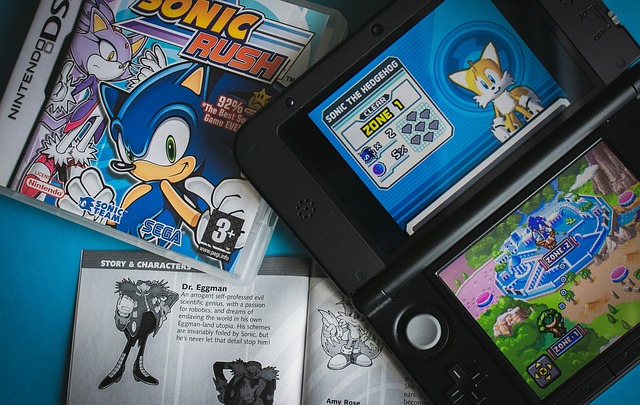 Videoconsola Nintendo DS